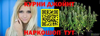 прущие крисы Кингисепп