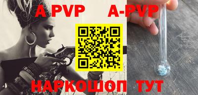прущие крисы Кингисепп