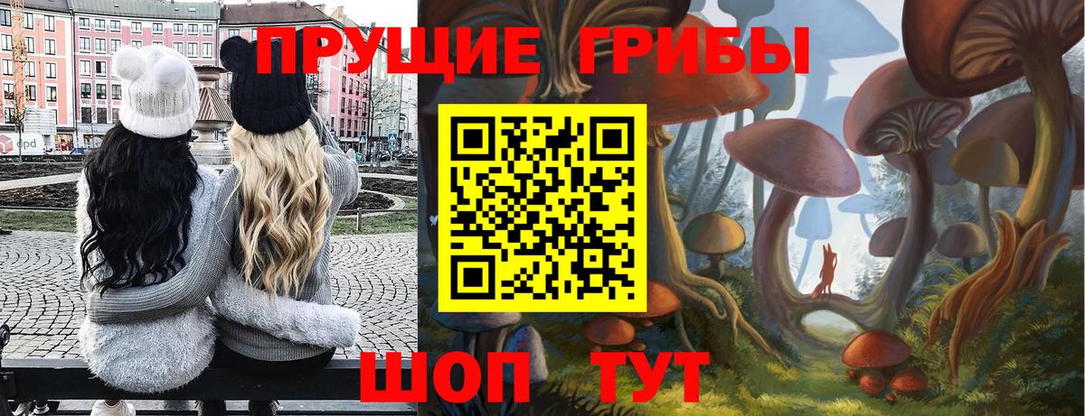 Коммунар  Галлюциногенные грибы мицелий  Вход с VPN 